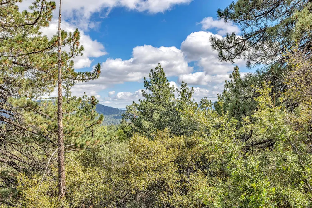 Lakeview Drive Idyllwild, CA 92549