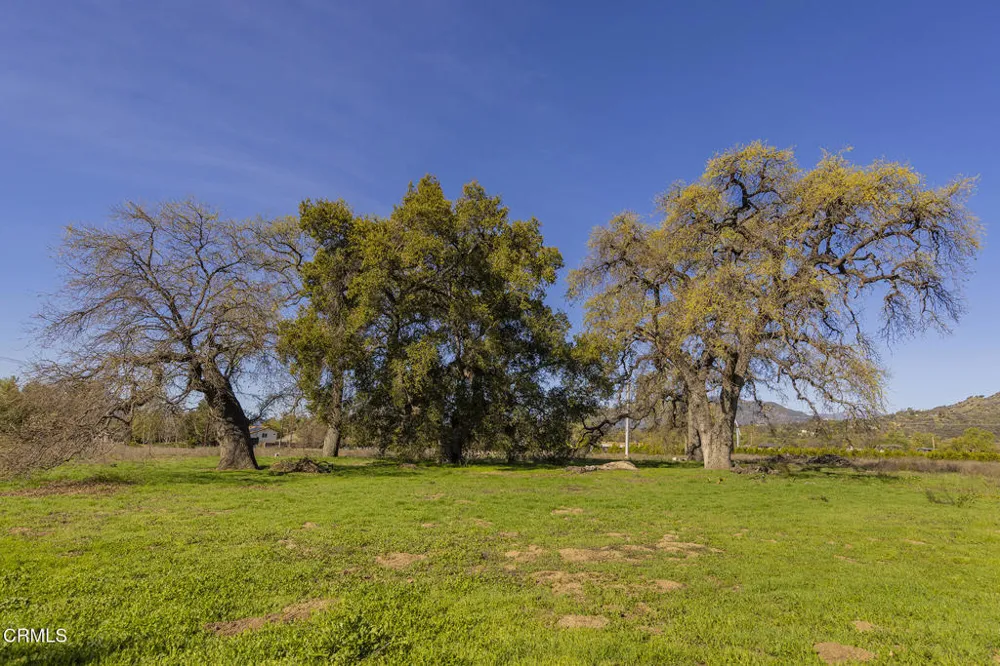 1201 Grand Avenue Ojai, CA 93023
