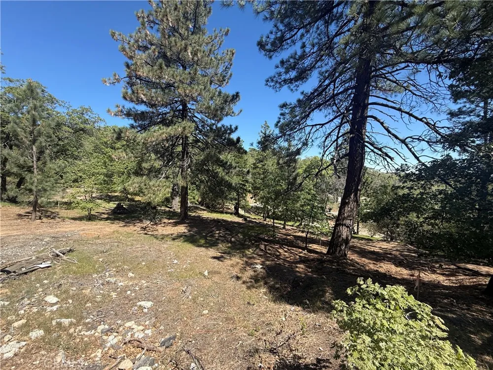 1684 Pinehurst Dr Lake Arrowhead, CA 92352