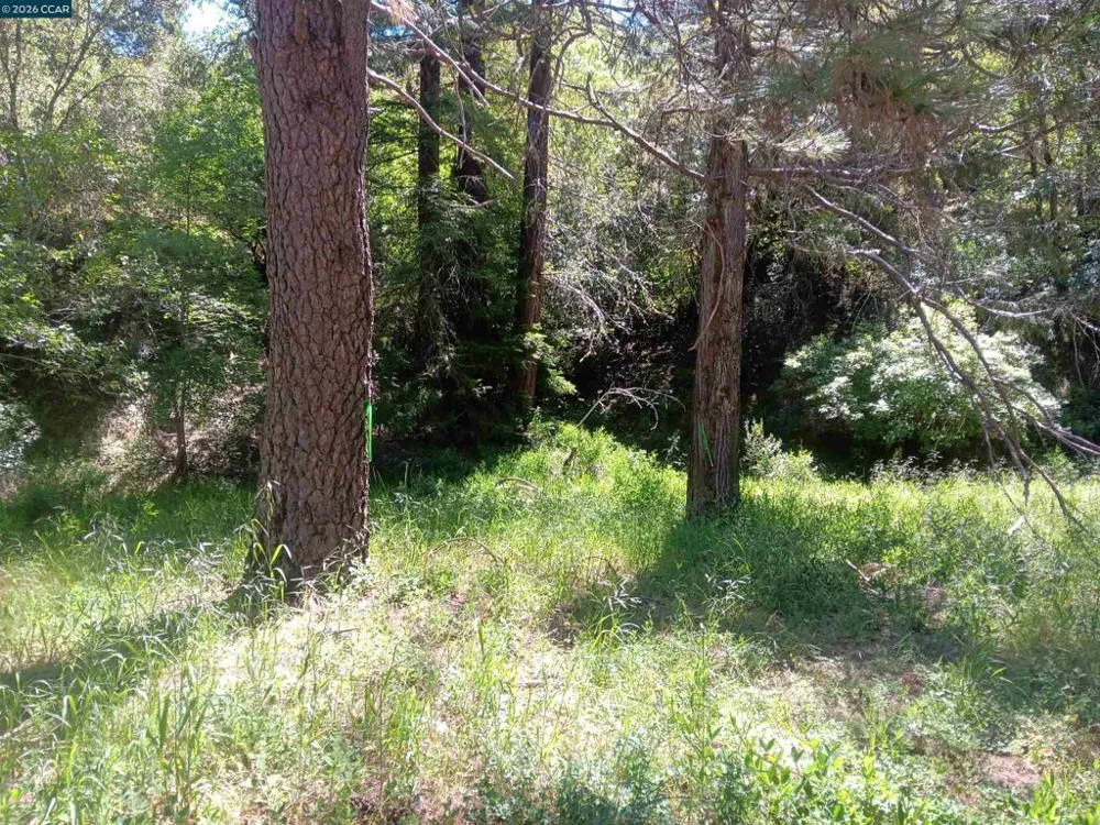 56025 HIGHWAY 101 Laytonville, CA 95454
