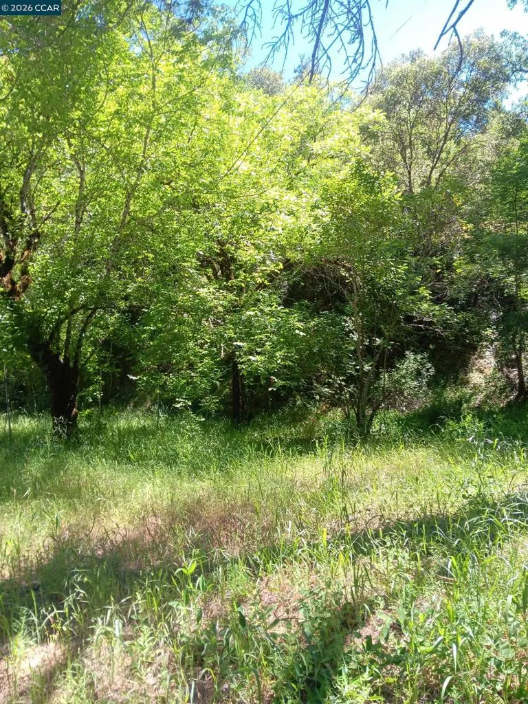 56025 HIGHWAY 101 Laytonville, CA 95454