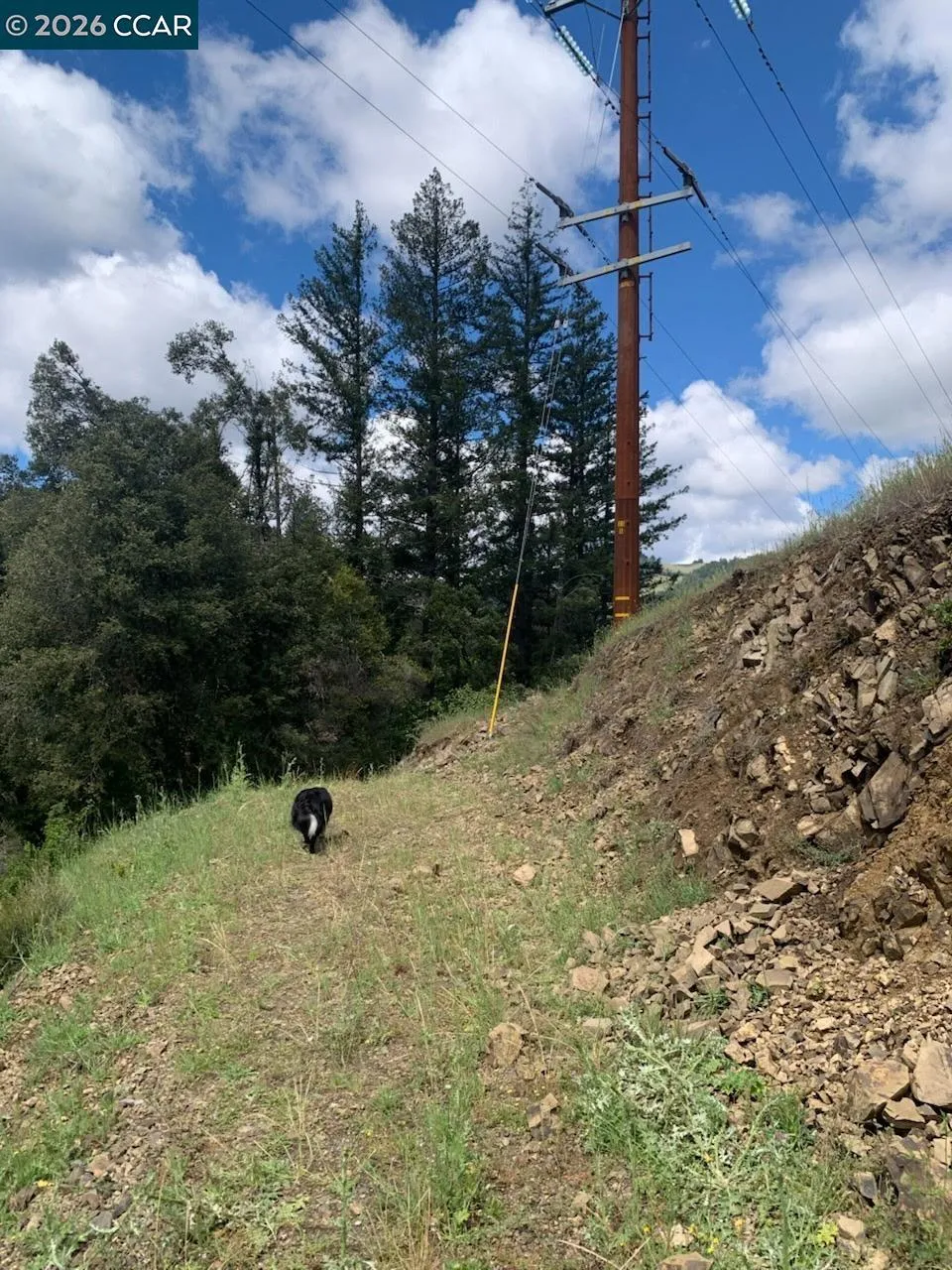 56025 HIGHWAY 101 Laytonville, CA 95454
