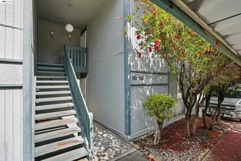1036 Oak Grove Rd #81