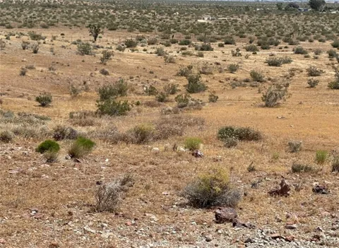 34529318 Mojave