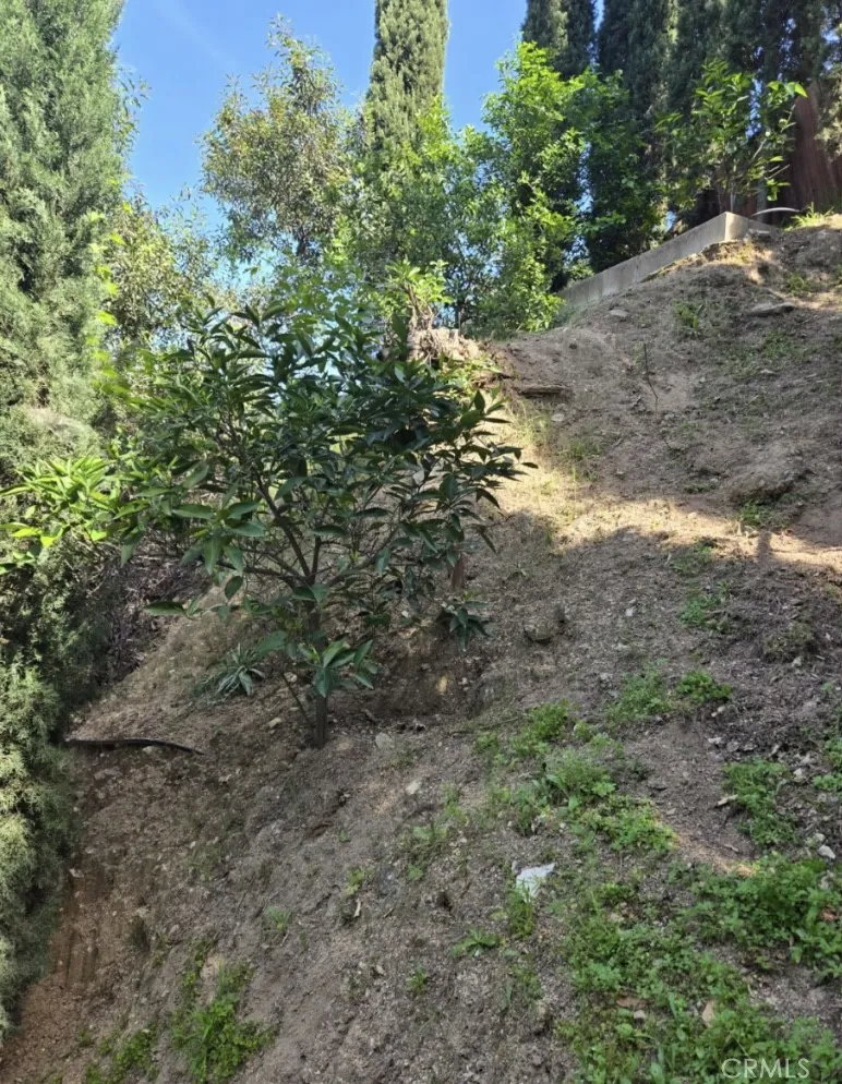 7138 Highcliff Trail Tujunga, CA 91042