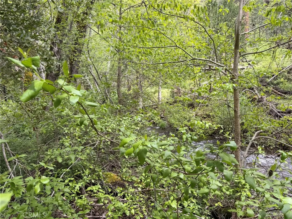 39 Anderson Valley Road Coulterville, CA 95311