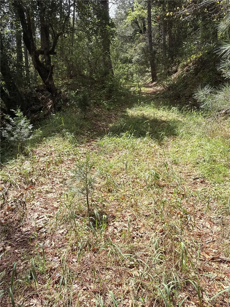 39 Anderson Valley Road Coulterville, CA 95311