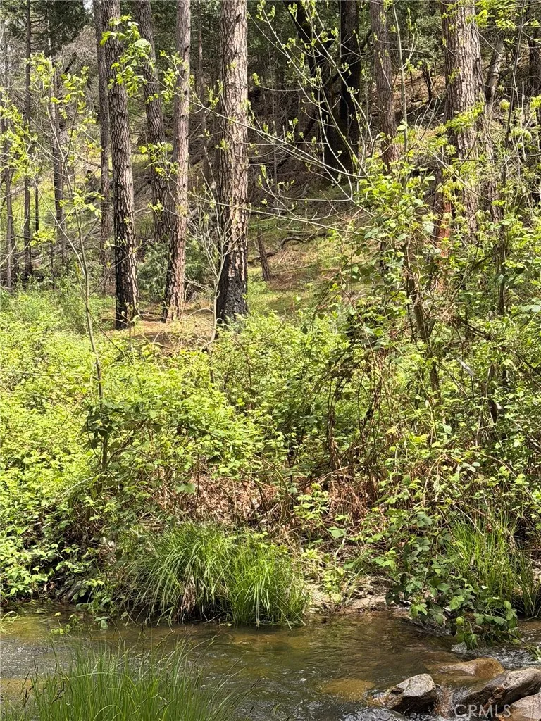 39 Anderson Valley Road Coulterville, CA 95311