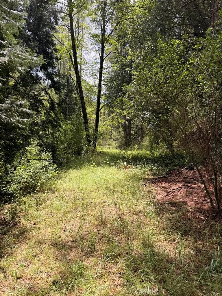 39 Anderson Valley Road Coulterville, CA 95311