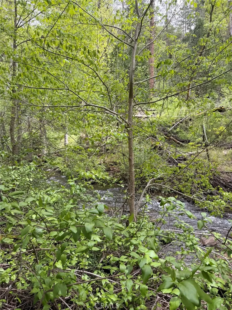 39 Anderson Valley Road Coulterville, CA 95311