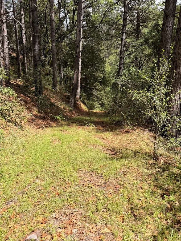 39 Anderson Valley Road Coulterville, CA 95311