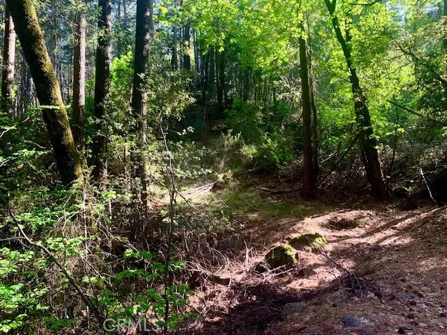 17325 Fernbrook Middletown, CA 95461