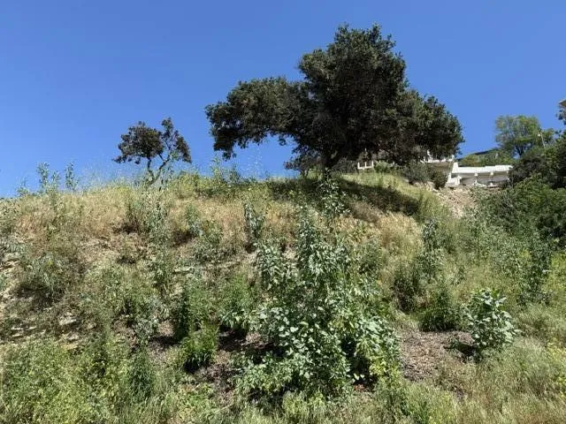 3800 Knobhill Drive Sherman Oaks, CA 91423