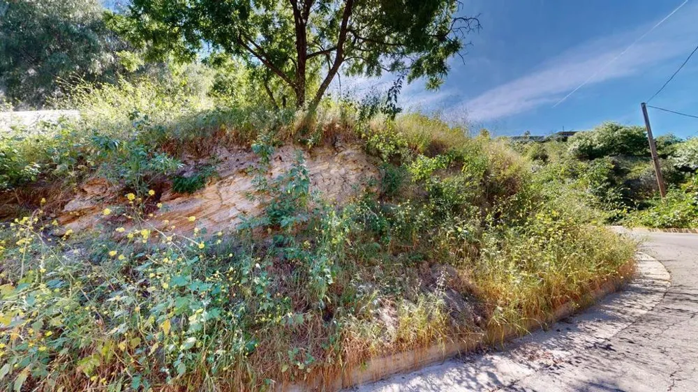 3800 Knobhill Drive Sherman Oaks, CA 91423