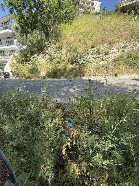 3800 Knobhill Drive Sherman Oaks, CA 91423