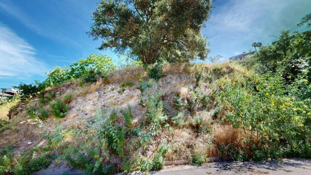 3810 Knobhill Drive Sherman Oaks, CA 91423