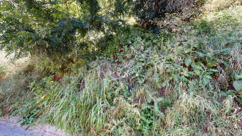 3810 Knobhill Drive Sherman Oaks, CA 91423