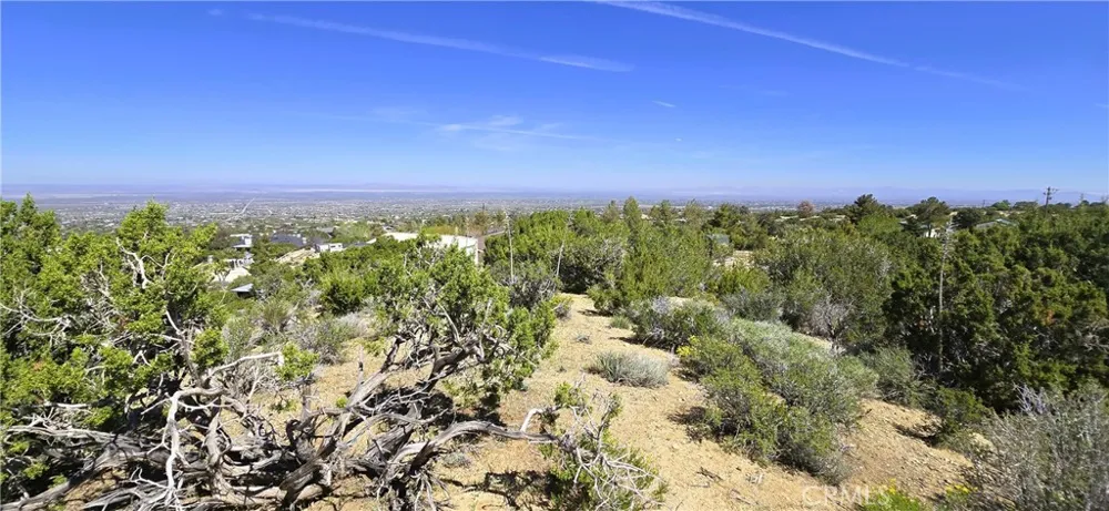 Sunnyslope Pinon Hills, CA 92372