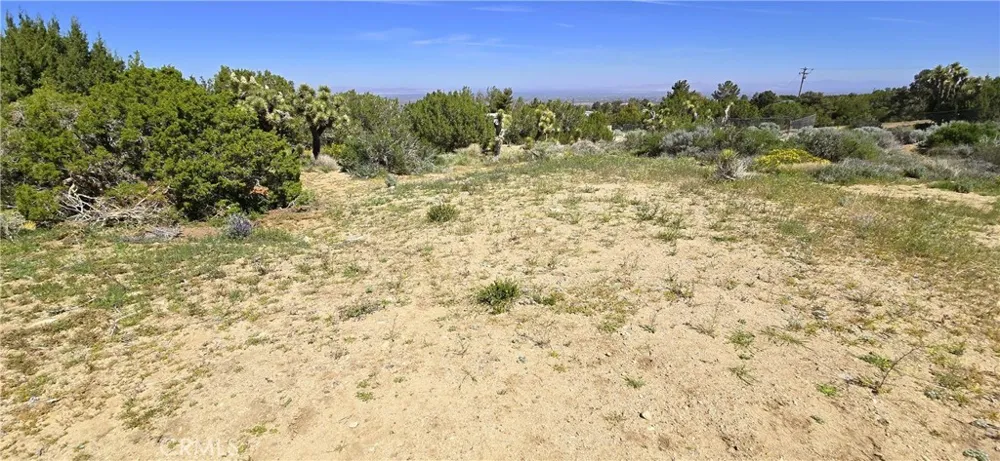 Sunnyslope Pinon Hills, CA 92372