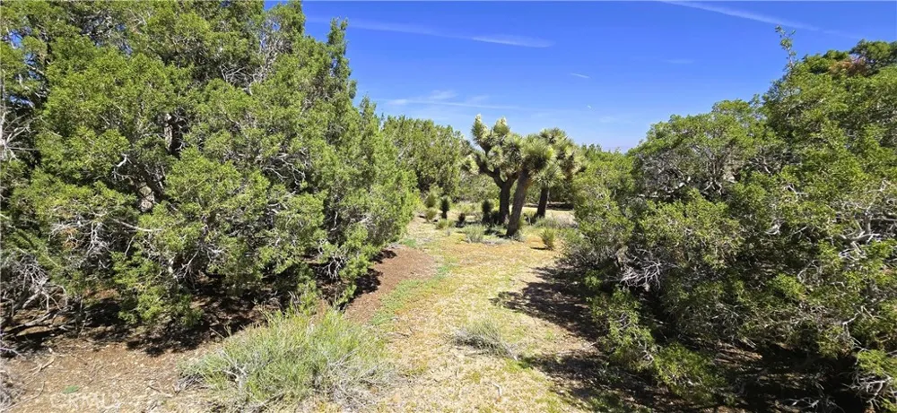 Sunnyslope Pinon Hills, CA 92372