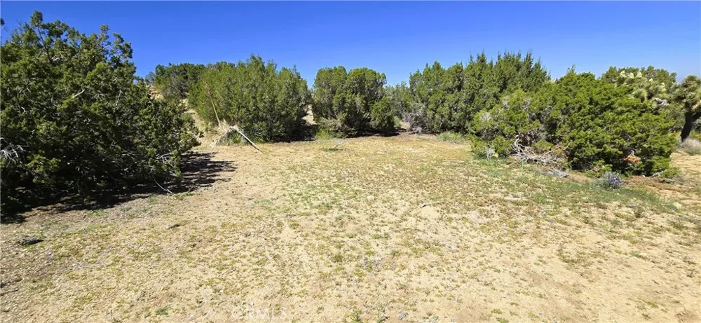 Sunnyslope Pinon Hills, CA 92372