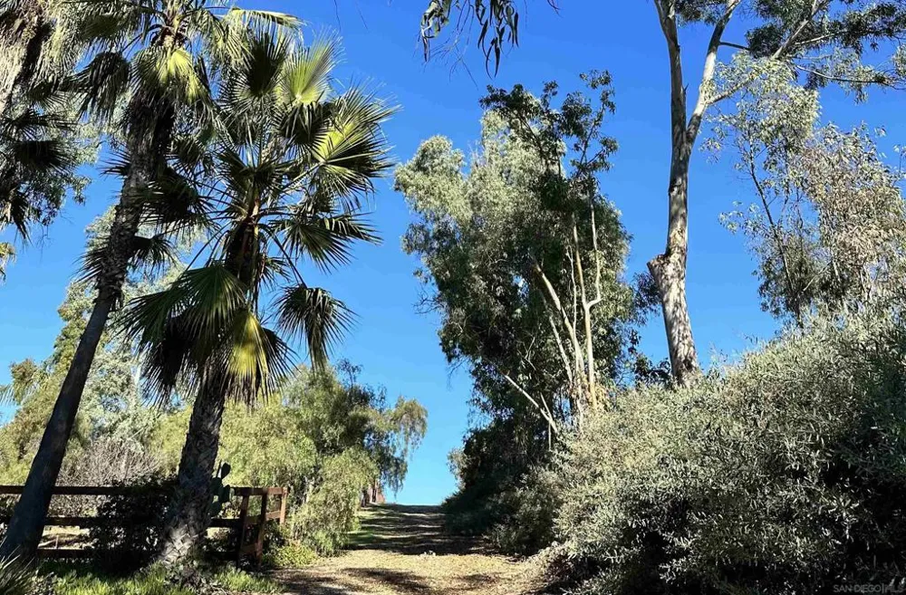 18096 Loma Alegre Rancho Santa Fe, CA 92067