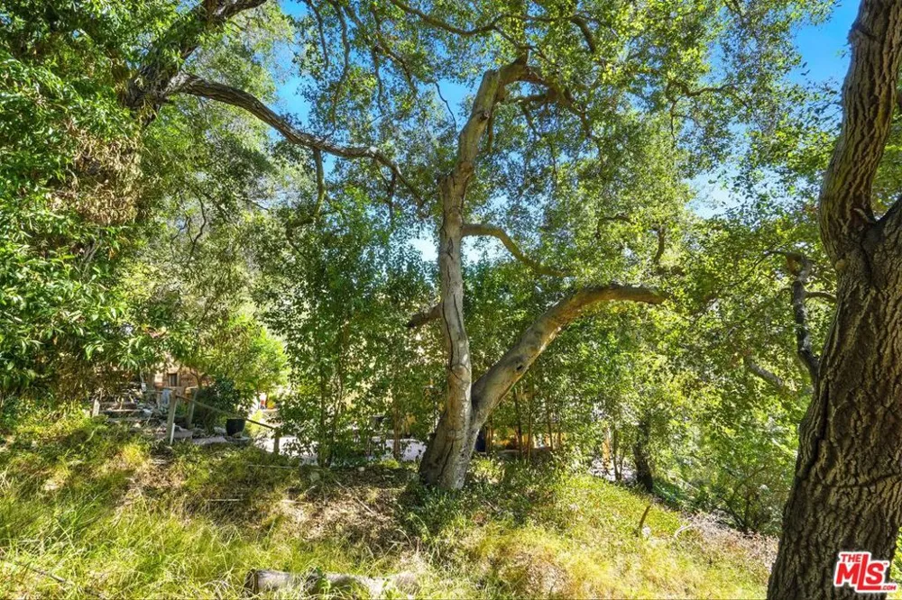 802 Old Topanga Canyon Rd Topanga, CA 90290