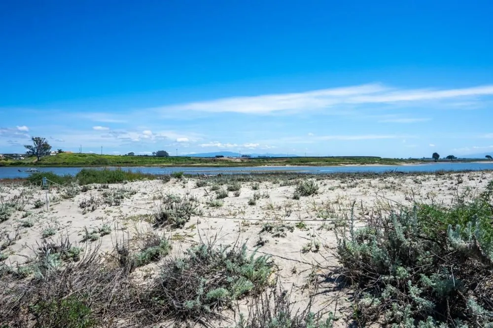75 Pelican #P-75 Watsonville, CA 95076