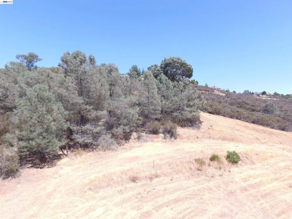 3341 Rancho Tierra Ct Cameron Park, CA 95682