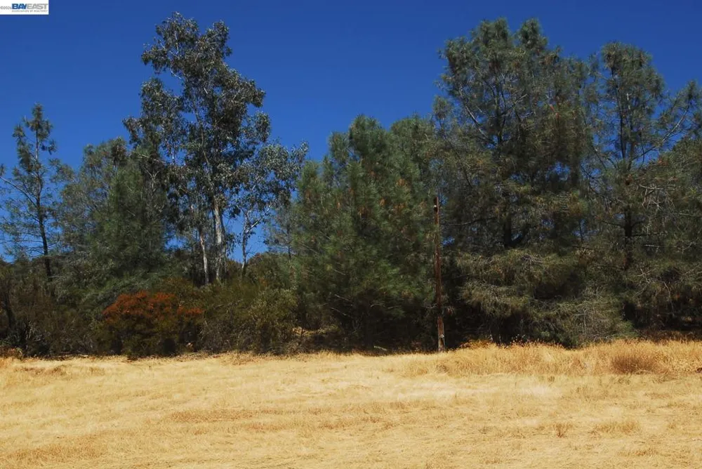 3341 Rancho Tierra Ct Cameron Park, CA 95682