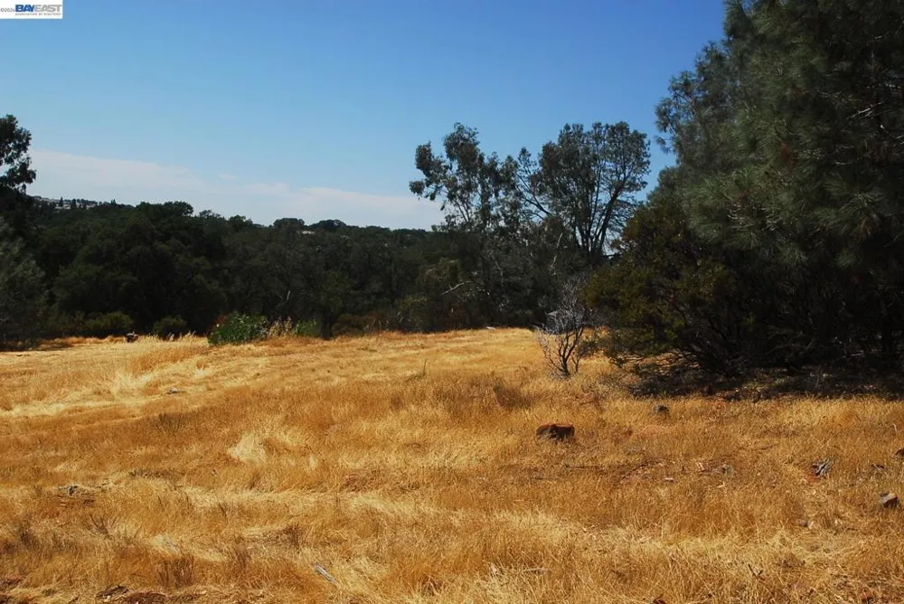 3341 Rancho Tierra Ct Cameron Park, CA 95682