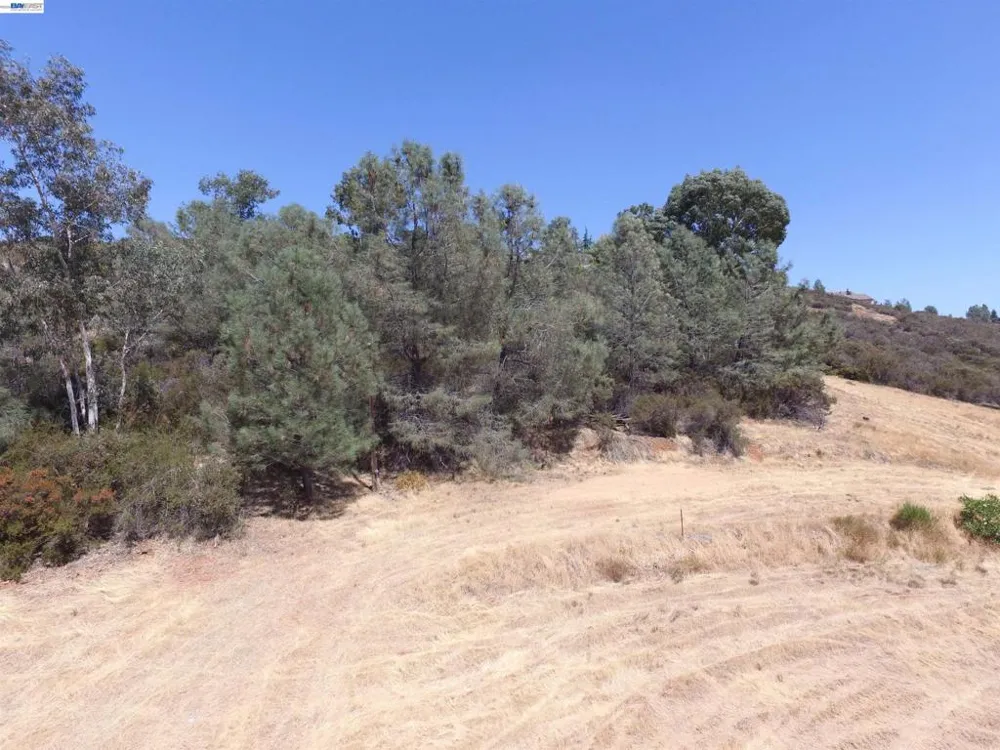 3341 Rancho Tierra Ct Cameron Park, CA 95682