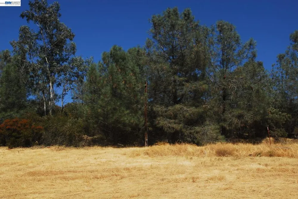 3341 Rancho Tierra Ct Cameron Park, CA 95682