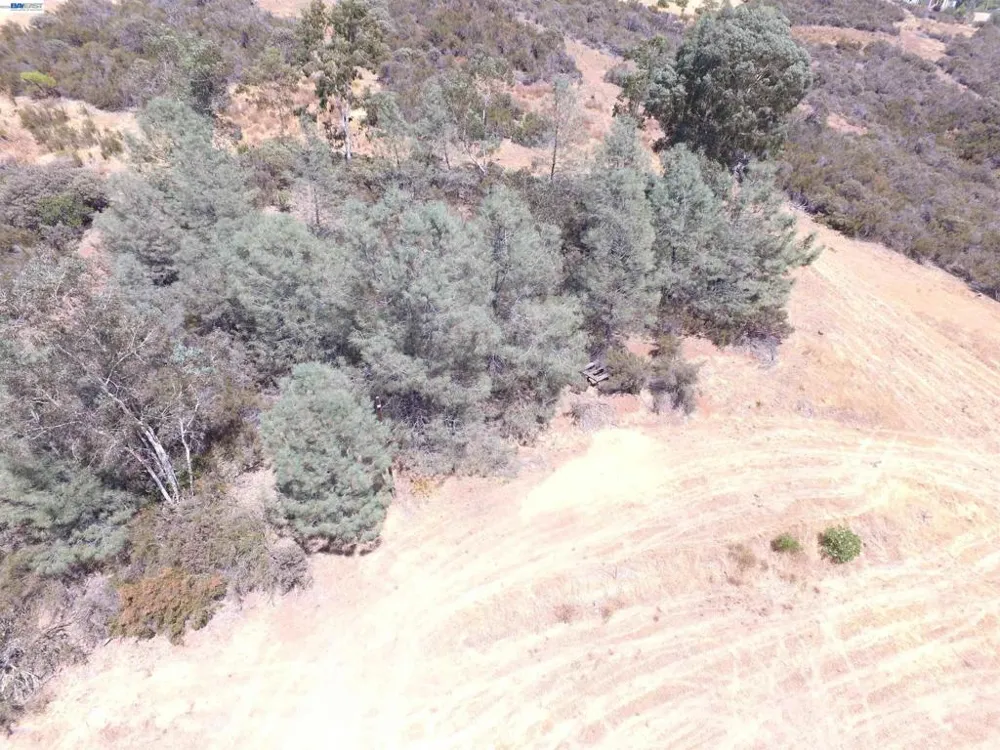 3341 Rancho Tierra Ct Cameron Park, CA 95682