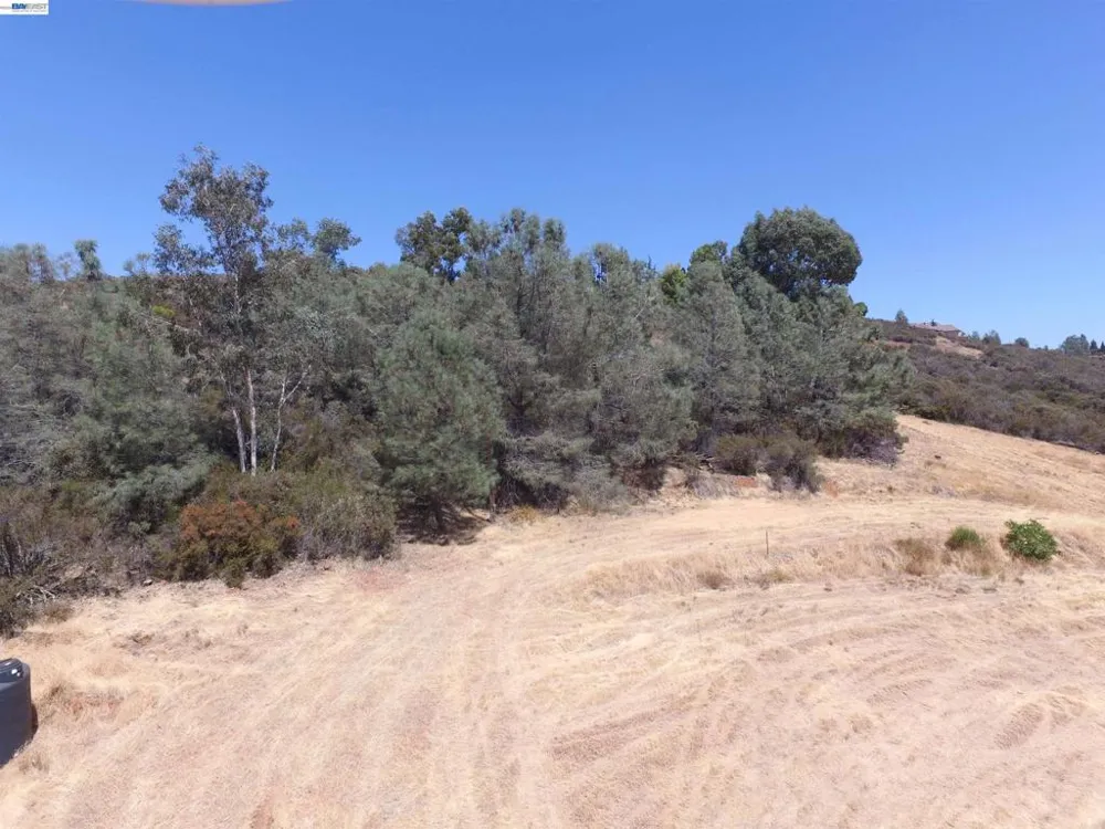 3341 Rancho Tierra Ct Cameron Park, CA 95682
