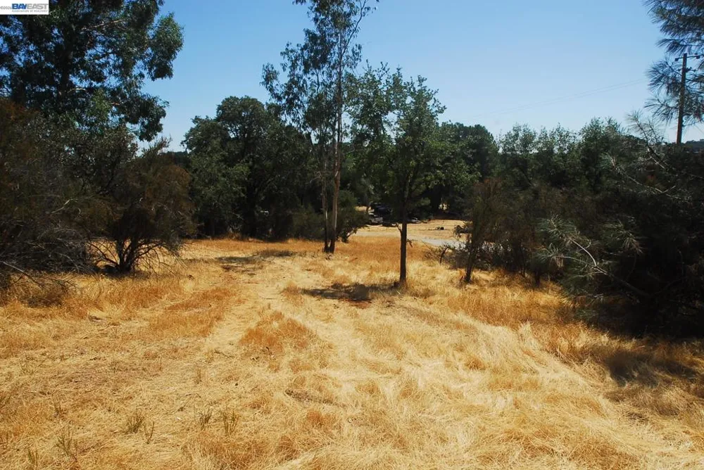 3341 Rancho Tierra Ct Cameron Park, CA 95682
