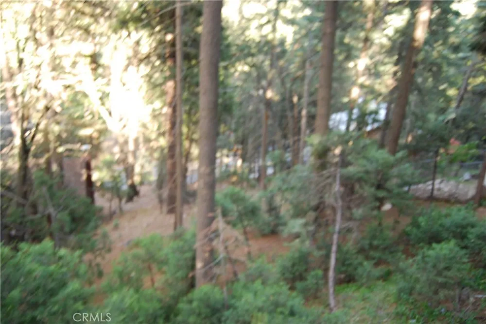 807 Sierra Vista Twin Peaks, CA 92391
