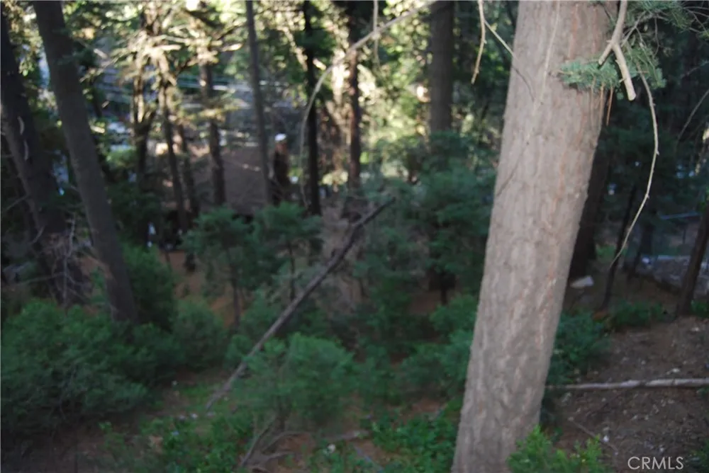 807 Sierra Vista Twin Peaks, CA 92391