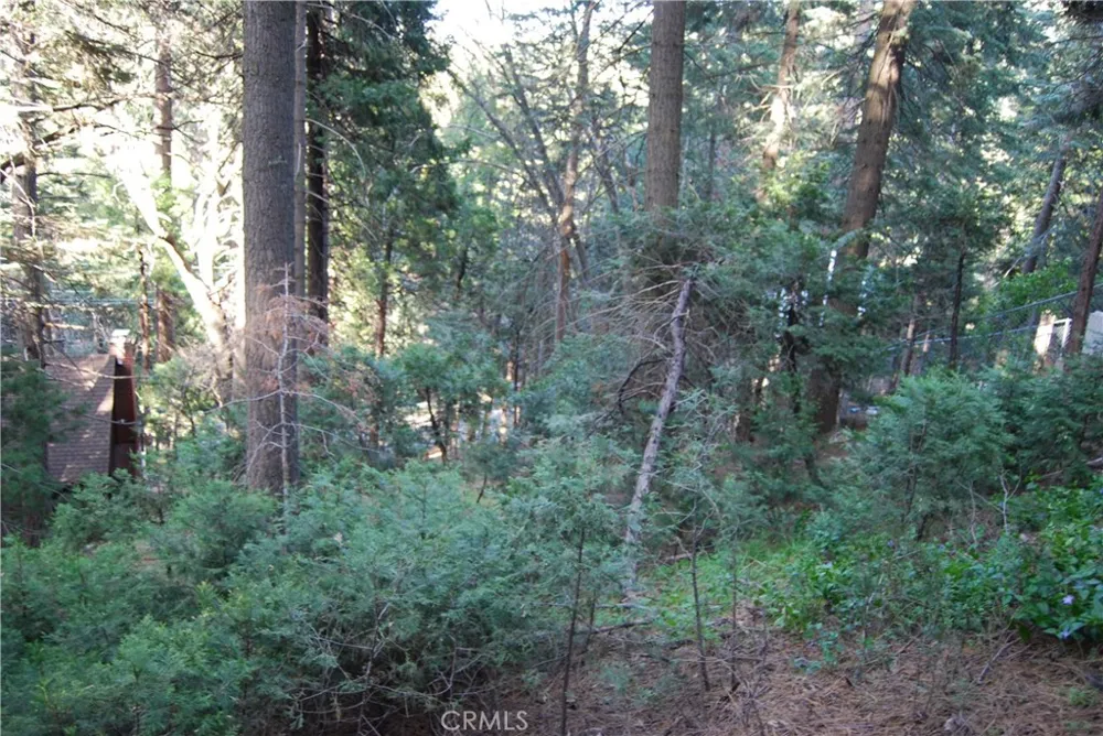 807 Sierra Vista Twin Peaks, CA 92391