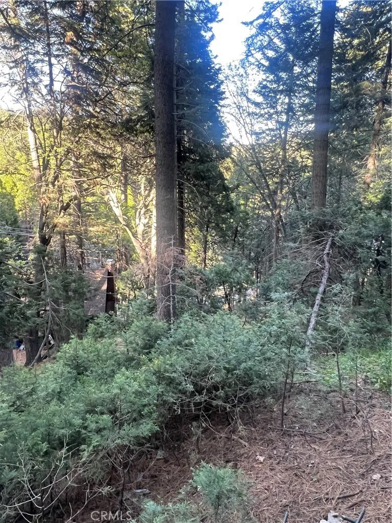 807 Sierra Vista Twin Peaks, CA 92391