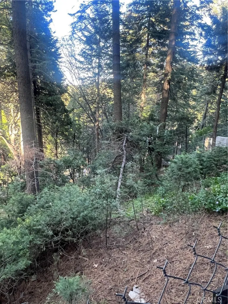 807 Sierra Vista Twin Peaks, CA 92391