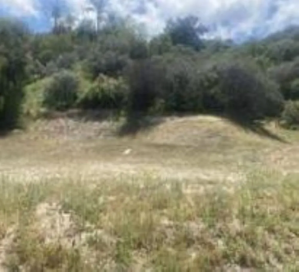 Mint Canyon #1 Agua Dulce, CA 91350