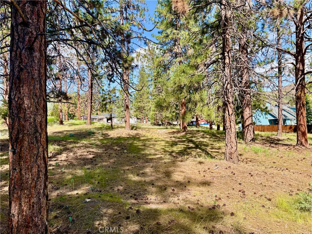 s Lang Way Yreka, CA 96097