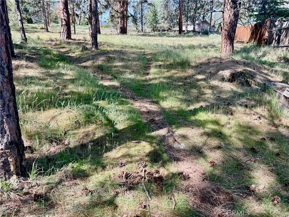 s Lang Way Yreka, CA 96097
