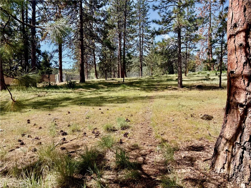 s Lang Way Yreka, CA 96097