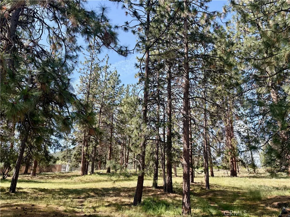s Lang Way Yreka, CA 96097