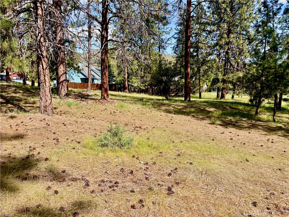 s Lang Way Yreka, CA 96097