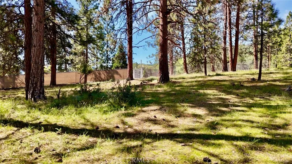 s Lang Way Yreka, CA 96097