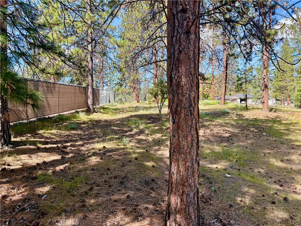 s Lang Way Yreka, CA 96097
