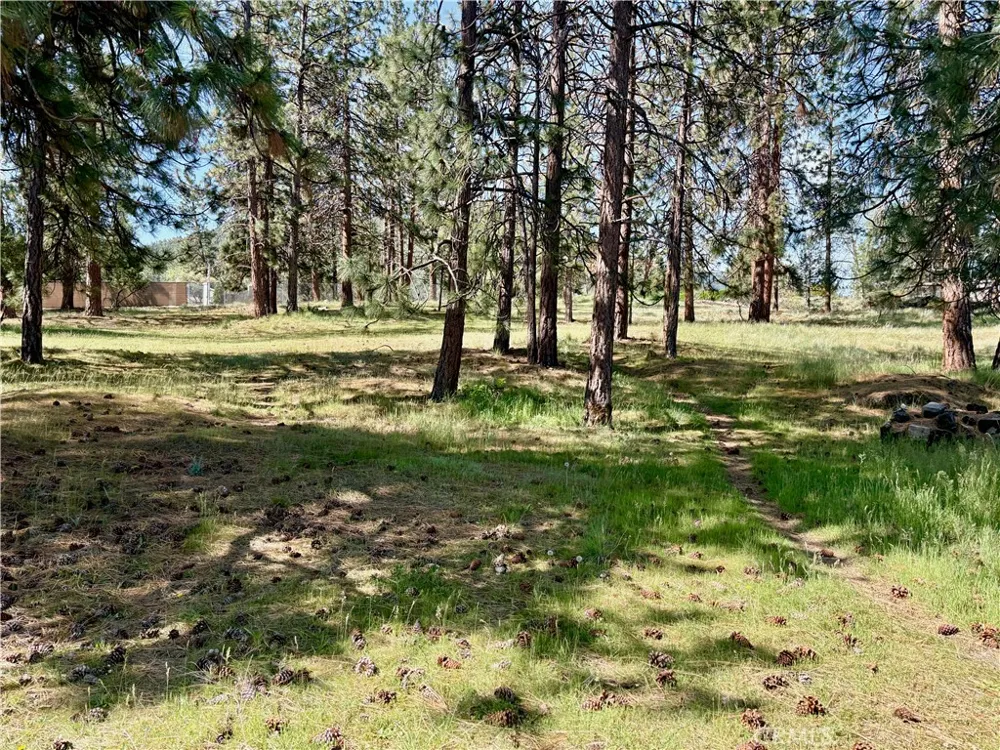 s Lang Way Yreka, CA 96097